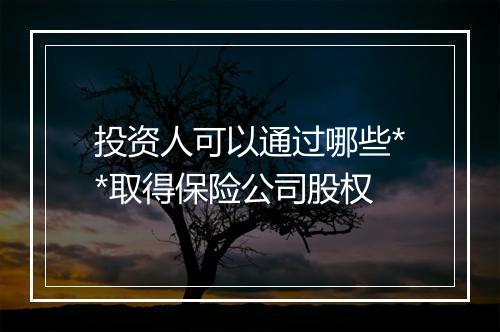 投资人可以通过哪些**取得保险公司股权