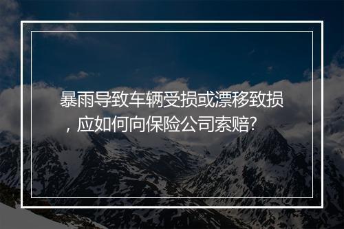 暴雨导致车辆受损或漂移致损，应如何向保险公司索赔?