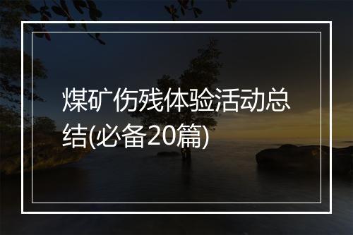 煤矿伤残体验活动总结(必备20篇)