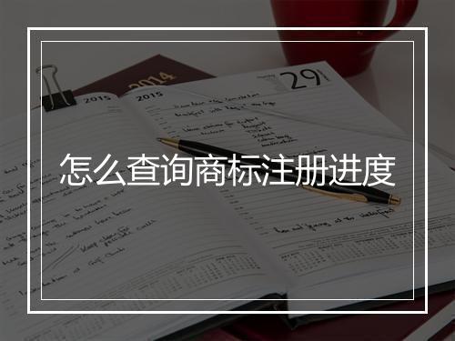 怎么查询商标注册进度