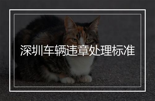 深圳车辆违章处理标准