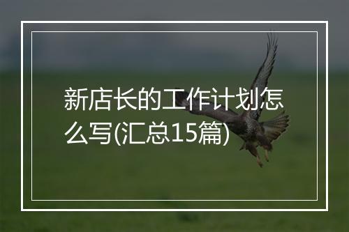 新店长的工作计划怎么写(汇总15篇)