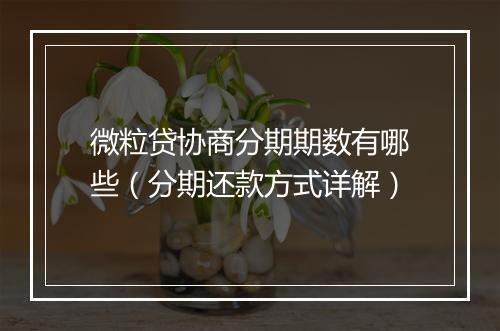 微粒贷协商分期期数有哪些（分期还款方式详解）