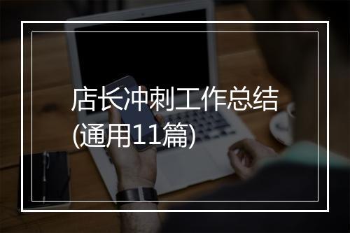 店长冲刺工作总结(通用11篇)