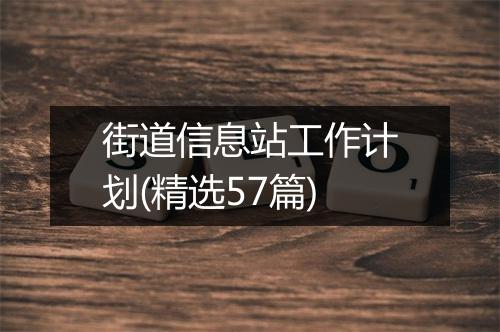 街道信息站工作计划(精选57篇)