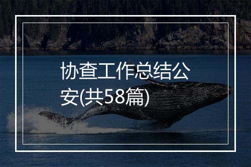 协查工作总结公安(共58篇)