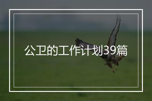 公卫的工作计划39篇