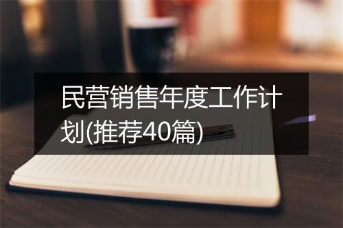 民营销售年度工作计划(推荐40篇)