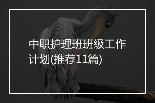 中职护理班班级工作计划(推荐11篇)