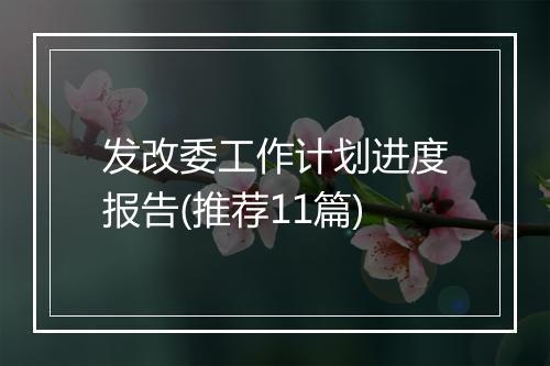 发改委工作计划进度报告(推荐11篇)