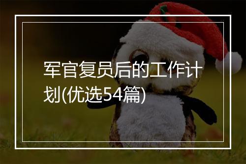 军官复员后的工作计划(优选54篇)