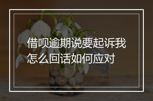 借呗逾期说要起诉我怎么回话如何应对