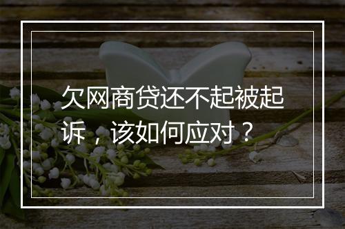欠网商贷还不起被起诉，该如何应对？