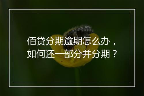 佰贷分期逾期怎么办，如何还一部分并分期？