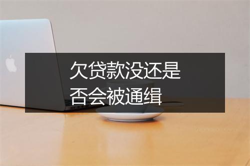 欠贷款没还是否会被通缉