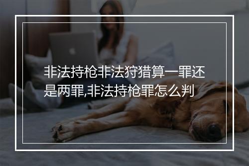 非法持枪非法狩猎算一罪还是两罪,非法持枪罪怎么判