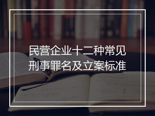 民营企业十二种常见刑事罪名及立案标准