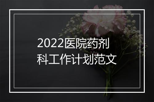 2022医院药剂科工作计划范文