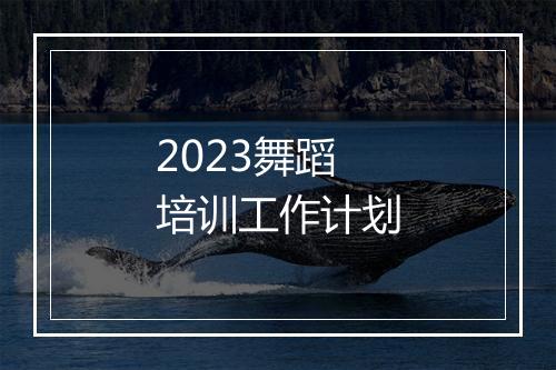 2023舞蹈培训工作计划