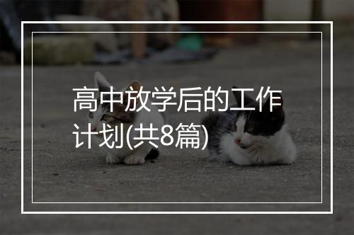 高中放学后的工作计划(共8篇)