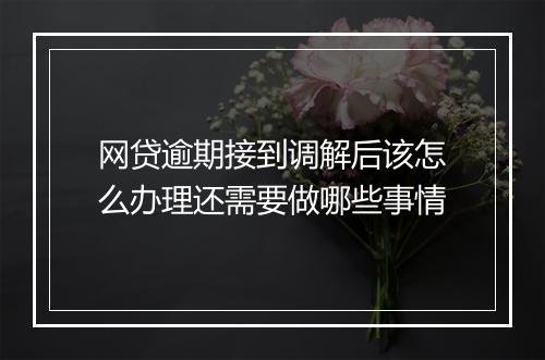 网贷逾期接到调解后该怎么办理还需要做哪些事情