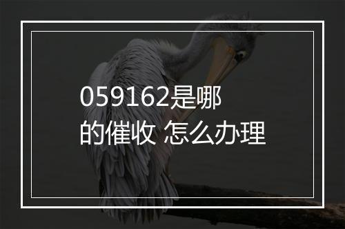 059162是哪的催收 怎么办理