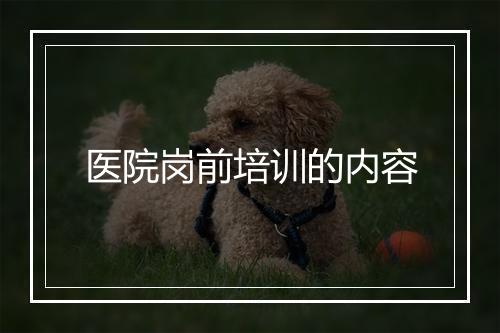 医院岗前培训的内容