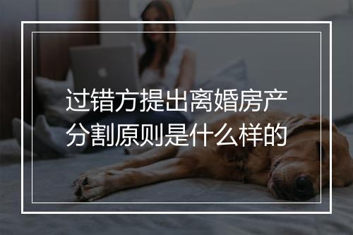 过错方提出离婚房产分割原则是什么样的