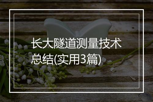 长大隧道测量技术总结(实用3篇)