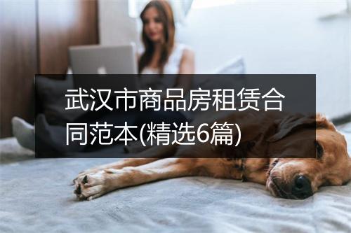 武汉市商品房租赁合同范本(精选6篇)