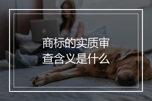 商标的实质审查含义是什么