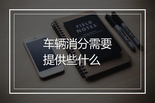 车辆消分需要提供些什么