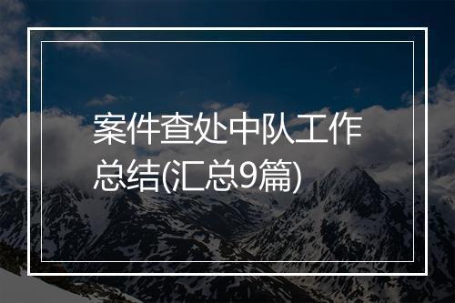 案件查处中队工作总结(汇总9篇)
