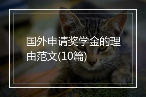 国外申请奖学金的理由范文(10篇)