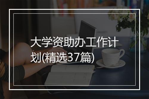 大学资助办工作计划(精选37篇)