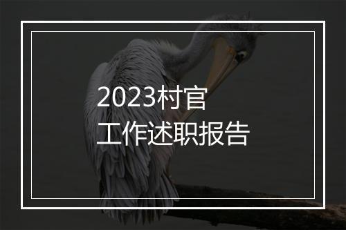 2023村官工作述职报告