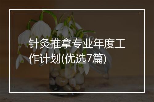 针灸推拿专业年度工作计划(优选7篇)