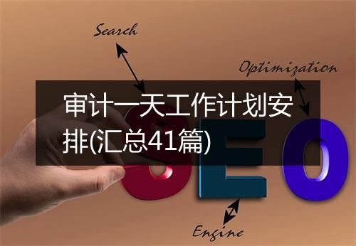 审计一天工作计划安排(汇总41篇)