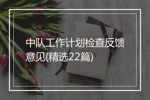 中队工作计划检查反馈意见(精选22篇)