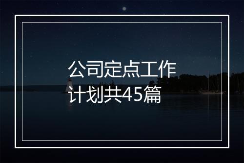 公司定点工作计划共45篇