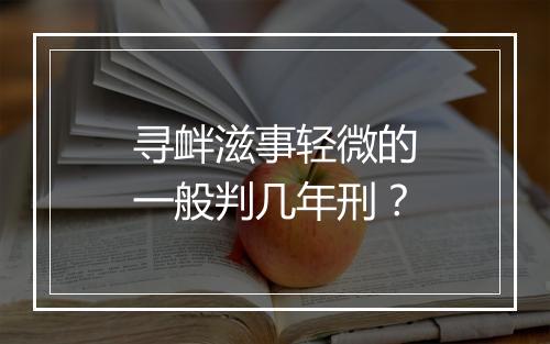 寻衅滋事轻微的一般判几年刑？