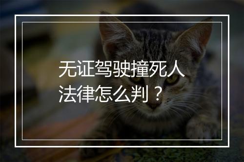 无证驾驶撞死人法律怎么判？