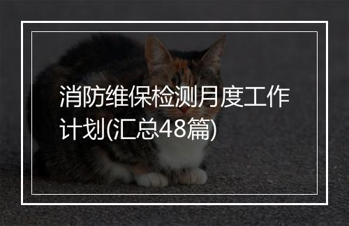 消防维保检测月度工作计划(汇总48篇)