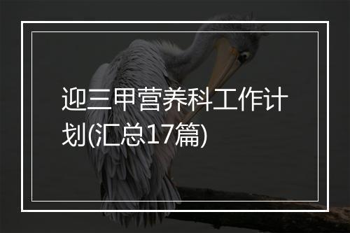 迎三甲营养科工作计划(汇总17篇)