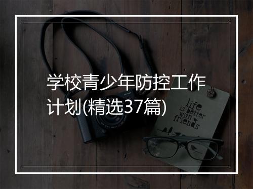 学校青少年防控工作计划(精选37篇)