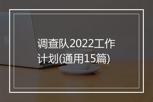 调查队2022工作计划(通用15篇)