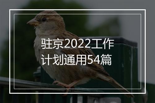 驻京2022工作计划通用54篇