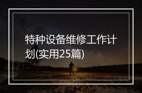 特种设备维修工作计划(实用25篇)