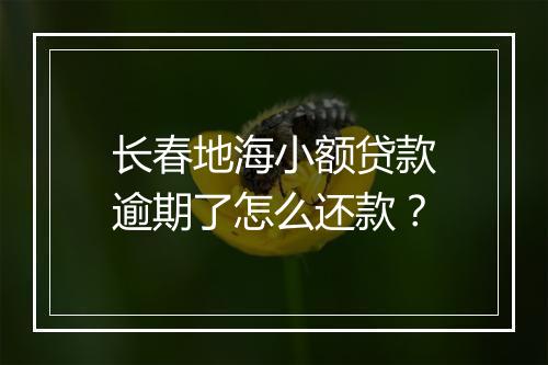 长春地海小额贷款逾期了怎么还款？