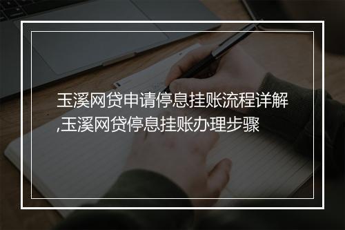 玉溪网贷申请停息挂账流程详解,玉溪网贷停息挂账办理步骤